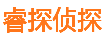 修文市私家侦探